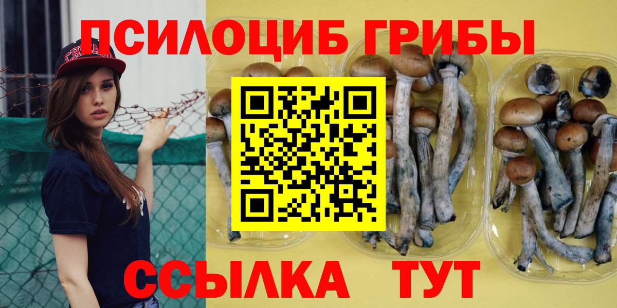 Псилоцибиновые грибы MAGIC MUSHROOMS Красный Сулин