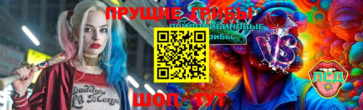 Псилоцибиновые грибы Psilocybine cubensis  Вход с VPN  Псилоцибиновые грибы MAGIC MUSHROOMS  Красный Сулин 