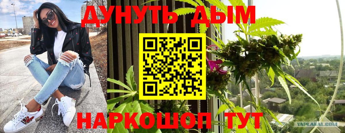 МАРИХУАНА OG Kush Красный Сулин
